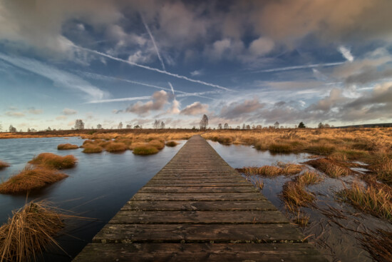 Naturpark Deutsch-Belgischer Naturpark Hohes Venn - Eifel © VDN-Fotoportal/Linda Grafmüller