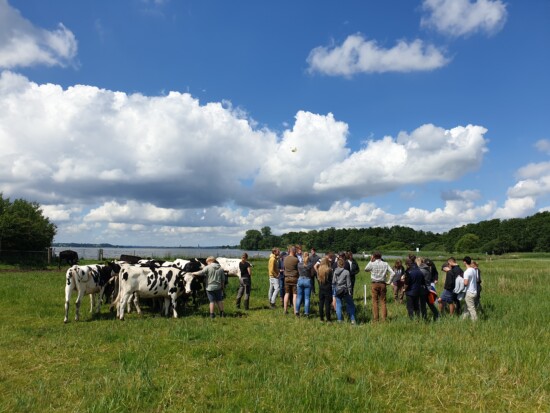 Klimafeste Landwirtschaft © Naturpark Schlei