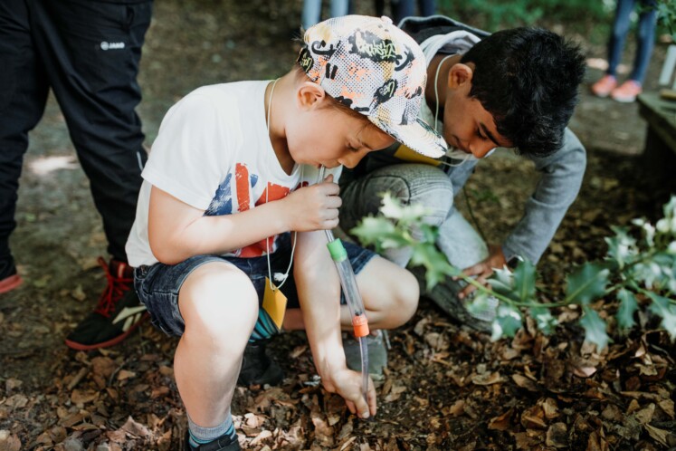 Zwei Jungen, die im Wald hocken und den Waldboden untersuchen - im Rahmen einer Veranstaltung einer Naturpark-Schule (VDN-Programm). Zwei Jungen, die im Wald hocken und den Waldboden untersuchen - im Rahmen einer Veranstaltung einer Naturpark-Schule (VDN-Programm).