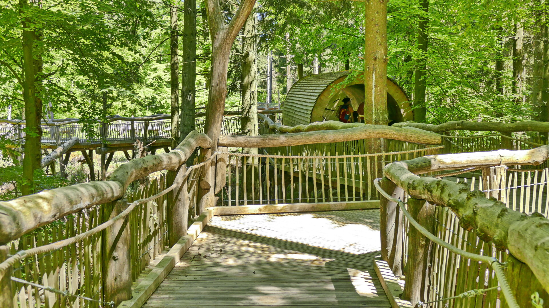 Ob mit Rollstuhl oder blind - alle werden geleitet im Deutsch-Belgischen Naturpark Hohes Venn - Eifel © VDN-Fotoportal/Christel Baude