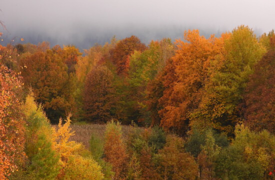 Früh Morgens ©VDN-Fotoportal/Brezina Peter