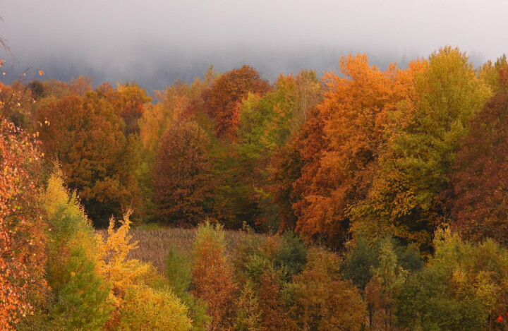 Früh Morgens ©VDN-Fotoportal/Brezina Peter