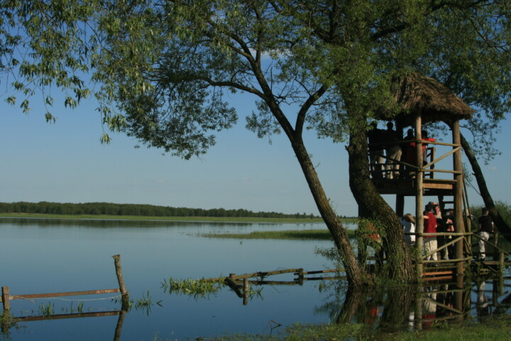 Baumhaus vorm See © Jörg Liesen