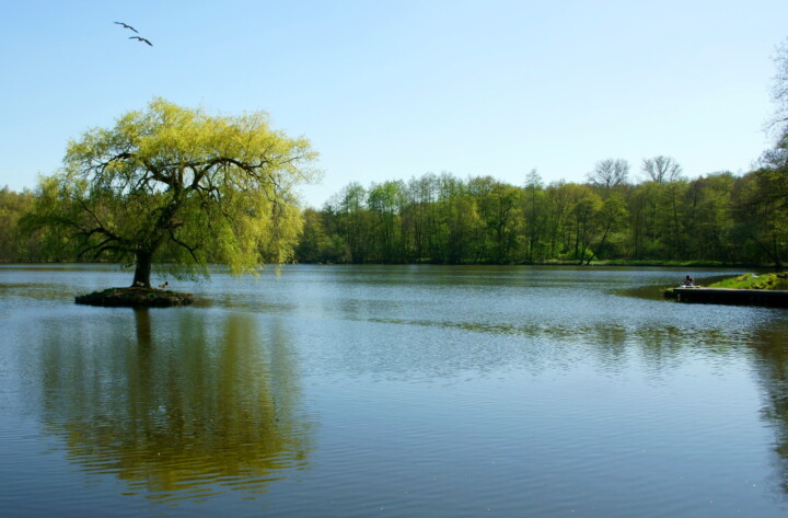Mühlenweiher an der Holtmühle in Wegberg. © Johann Baier/Naturpark Schwalm-Nette