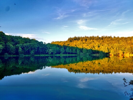 Spiegelungen © VDN-Fotoportal/Claudia Müller