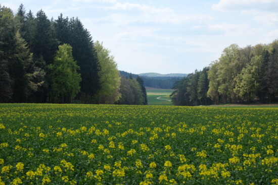 Kuppenalb bei Hohenburg © VDN-Fotoportal/Heidi Schrader