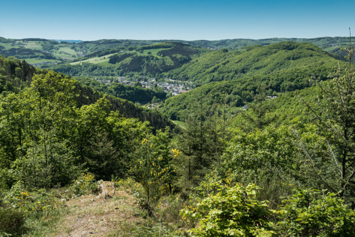 Bärenkopp © Günter Hahn