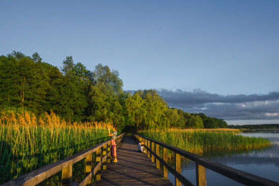 Vogelbeobachtung am Blankensee. © Marie Konrad
