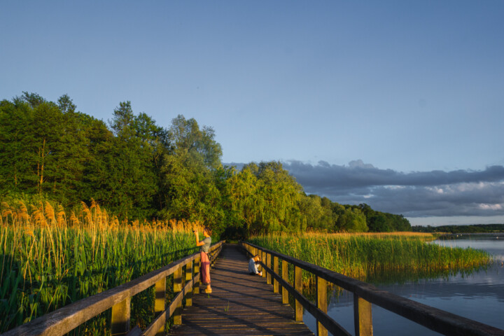 Vogelbeobachtung am Blankensee. © Marie Konrad