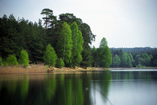 Heidesee im Naturpark Dahme-Heideseen © Naturwacht Dahme-Heideseen