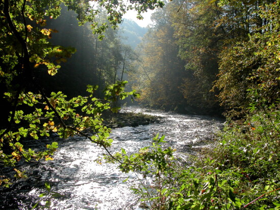 Wandern Sie entlang der Ilz - der schwarzen Perle des Bayerischen Waldes. © Naturpark Bayerischer Wald