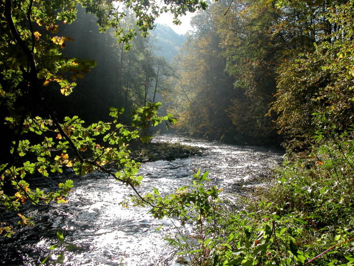 Wandern Sie entlang der Ilz - der schwarzen Perle des Bayerischen Waldes. © Naturpark Bayerischer Wald