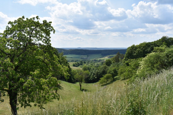 Sanfte Hügel und Täler. © Naturpark Haßberge