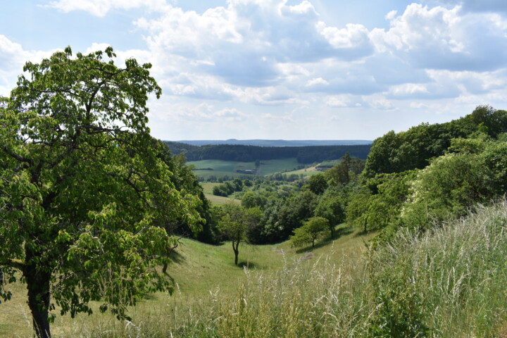Sanfte Hügel und Täler. © Naturpark Haßberge