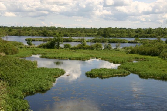 Landschaft bei Breechen - Die Peene bei Breechen eignet sich perfekt zum Wasserwandern. © M. Stegemann