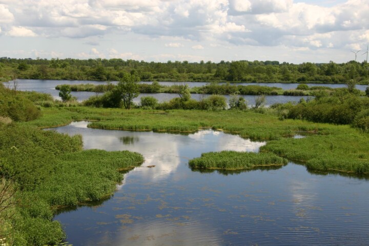 Landschaft bei Breechen - Die Peene bei Breechen eignet sich perfekt zum Wasserwandern. © M. Stegemann