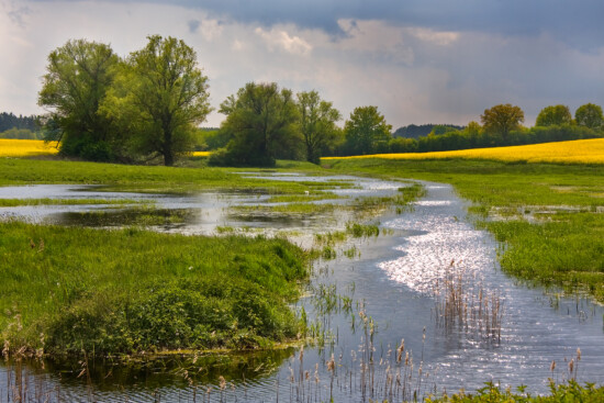 Die Moore bei Hasselförde wurden renaturiert. © U. Steinhäuser