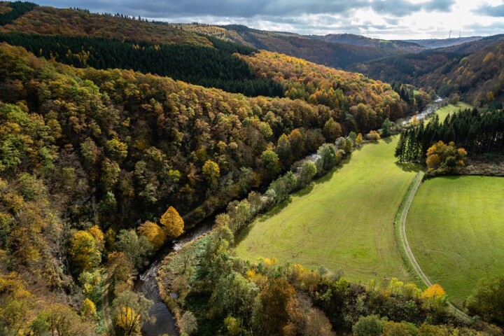 Premiumwanderweg Nat’Our Route 1. © Naturpark Südeifel / Philipp Köhler