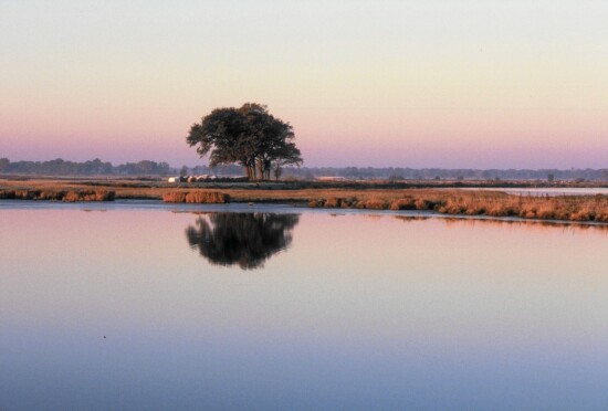 Der stille See © VDN-Fotoportal/Gerd Zeinert