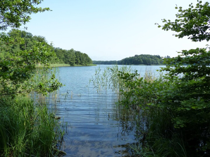 Wenn man an der Skulptur des Bronzenen Hirschs steht hat man einen beeindruckenden Blick auf den Groß Labenzer See. © Naturpark Archiv