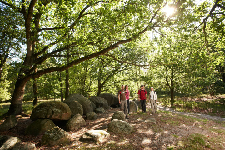 Oftmals unter Bäumen findet man eindrucksvolle Zeugnisse der Vergangenheit – die Großsteingräber. © Emsland Touristik GmbH