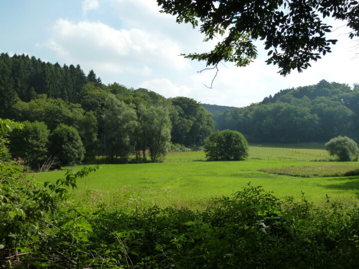 Grün © VDN-Fotoportal/Rolf Hilgers