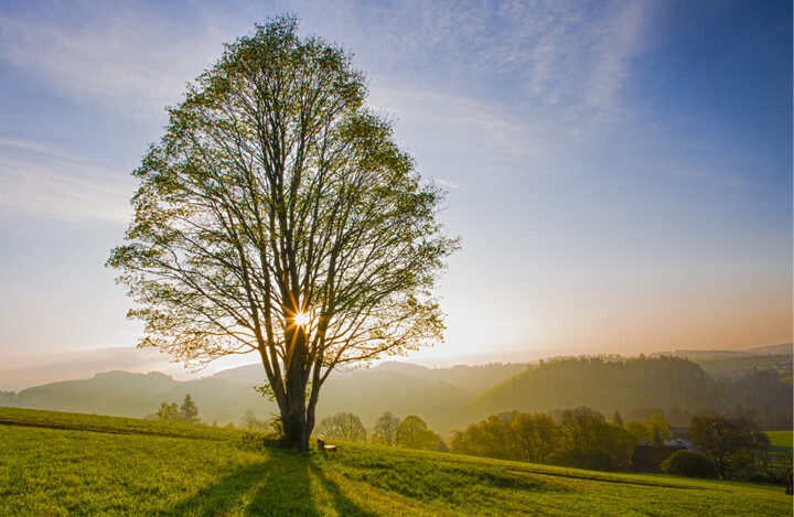 Bank mit Aussicht © VDN-Fotoportal/Volker Müther