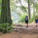 Zwei Wandernde im Wald - auf dem H-Weg im Natur-Geopark TERRA.vita © VDN-Fotoportal/Dieter Lorenz