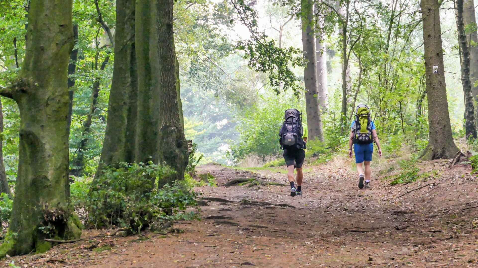 Auf dem H-Weg im Natur-Geopark TERRA.vita