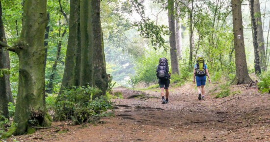 Zwei Wandernde im Wald - auf dem H-Weg im Natur-Geopark TERRA.vita © VDN-Fotoportal/Dieter Lorenz