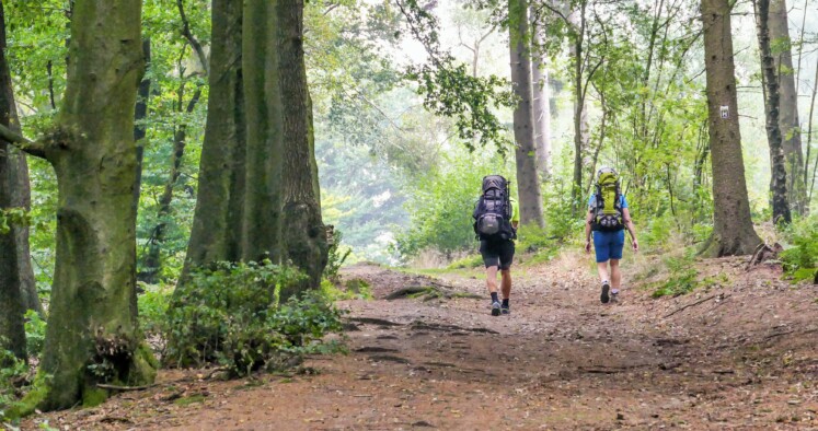 Zwei Wandernde im Wald - auf dem H-Weg im Natur-Geopark TERRA.vita © VDN-Fotoportal/Dieter Lorenz Zwei Wandernde im Wald - auf dem H-Weg im Natur-Geopark TERRA.vita © VDN-Fotoportal/Dieter Lorenz