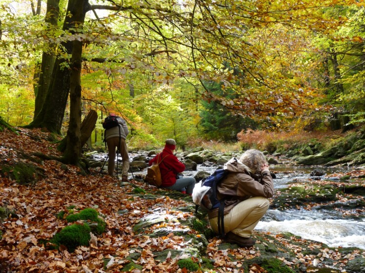Wandern im Deutsch-Belgischen Naturpark Hohes Venn – Eifel macht zu jeder Jahreszeit Spaß und ist interessant. ©VDN-Fotoportal/baude