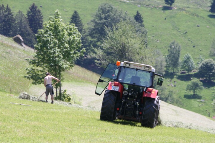 Heuernte am Hang. © Jörg Liesen/VDN e. V.